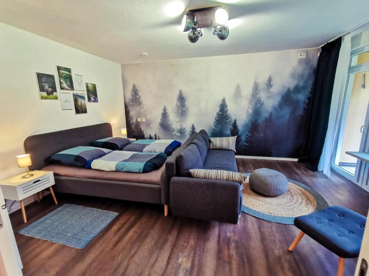 Urlaub In Andreasberg Apartment Санкт Андреасберг Екстериор снимка